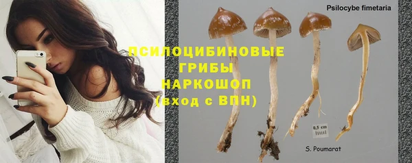 прущий лед Богородск
