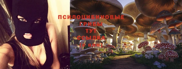 хмурый Богородицк